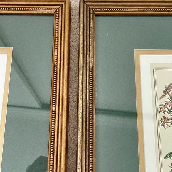 2 Framed Matted Vintage Floral Flower Botanical Bouquet Prints Litho Robert Furb - Picture 8 of 14